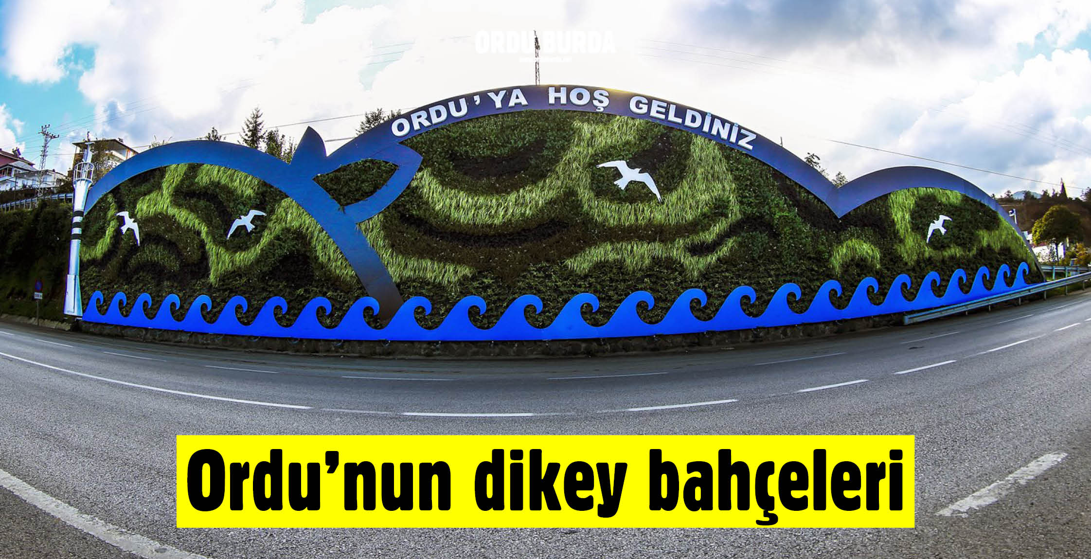 ORDU'NUN DİKEY BAHÇELERİ