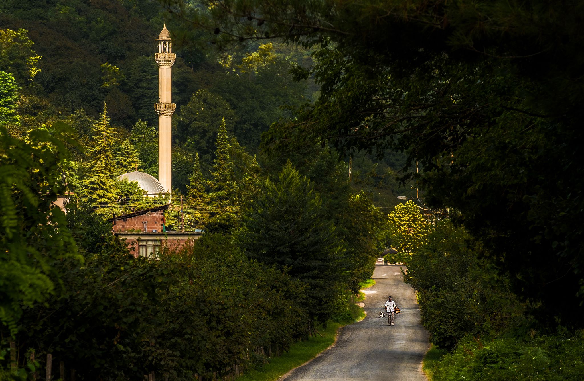 Mustafa GÜRAL - SAMSUN
