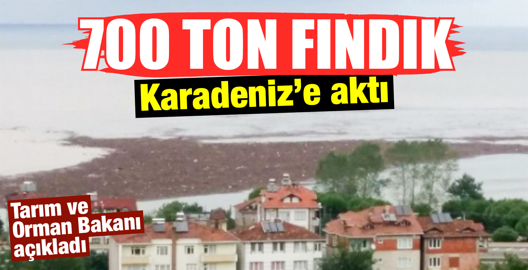 700 TON FINDIK KARADENİZ'E AKTI!