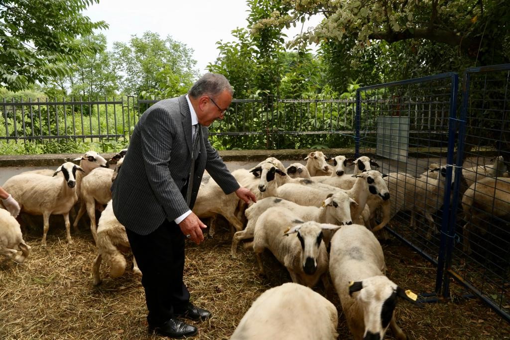 SÖZLEŞMELİ TARIM ATAĞI